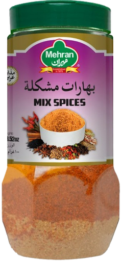 [70067] MIX SPICES 100 GMS